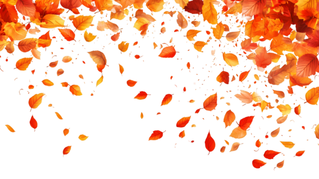 Realistic autumn leaves falling from the top creating a seasonal decoration on a transparent background