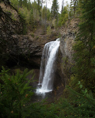 waterfall in the forest