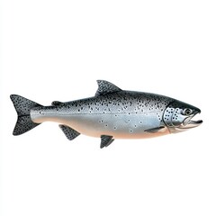 Naklejka premium A fresh salmon fish, isolated on a white background, showcasing its sleek body and vibrant pink-orange color, emphasizing the quality and freshness of this popular seafood.