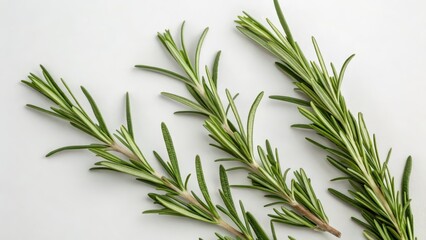 Fototapeta premium Rosemary Sprigs on White Background