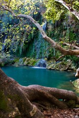 Fototapeta premium waterfall in plitvice national park