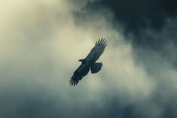 Obraz premium Majestic eagle soaring through misty forest landscape during early morning hours showcasing nature's tranquility and beauty