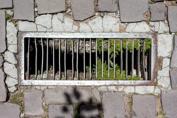 When the nature breaks, disrupts or overtakes