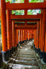 A pathway lined with vibrant orange torii gates at Fushimi Inari Shrine in Kyoto, Japan, creates a mesmerizing tunnel effect
