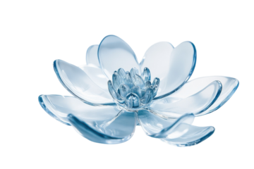 Delicate glass lotus flower reflecting light in a tranquil setting isolated on transparent background