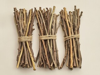 Wild twigs tied together for fire use, in a natural and organic setting.
