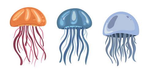 Cute jellyfish. Vector clipart illustration on isolated background.