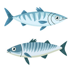 Obraz premium Cute Mackerel fish. Vector clipart illustration on isolated background.
