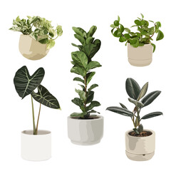 Fototapeta premium Potted plant PNG clip art set, home decoration