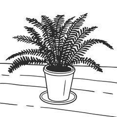 palm tree in a pot