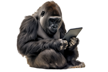 A curious gorilla engages with a tablet in a modern setting, exploring technology in an unusual way isolated on transparent background
