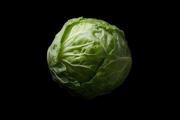 Fototapeta premium Fresh Head of Cabbage