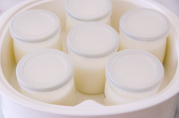 Jars of plain yogurt in a yogurt maker.