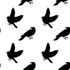 Vector seamless Ravens pattern in black-white style. Black Raven Silhouette pattern on wtite background