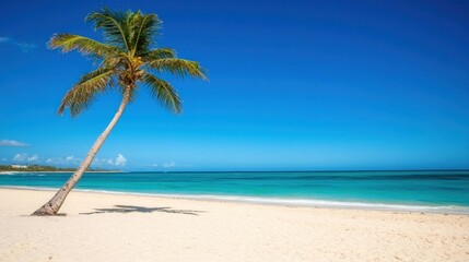 Obraz premium A tall palm tree leans gracefully towards crystal-clear turquoise water, with soft golden sand stretching across the beach under a vibrant blue sky