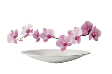 Fototapeta premium Delicate pink orchids gracefully hover above a minimalist white bowl in an elegant floral display isolated on transparent background