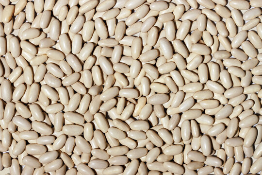 Full frame texture of white beans as a background