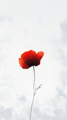 Obraz premium Vibrant red poppy stands tall against a soft cloudy sky