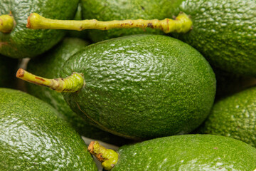 avocado on the market