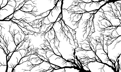Abstract black roots pattern decorative white background. Vintage nature background.