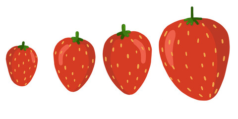 Bright juicy strawberries