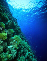 Underwater Magic Deep Scenes