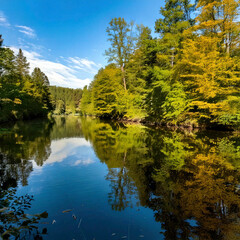 River Reflect Clear Detail