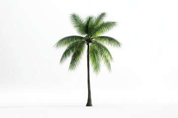 Creative graphic layouts featuring a tropical palm tree for outdoor advertisements