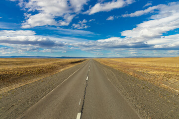 A long, empty road stretches endlessly through a vast, arid landscape under a bright blue sky with scattered clouds. The scene evokes adventure, freedom, and solitude, perfect for travel exploration