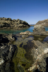rocky coast of the sea, Isola dell'Asinara. Sassari, Sardinia, Italy
