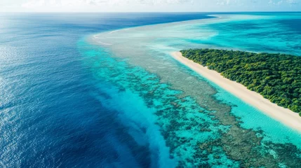 Keuken foto achterwand Tropical Island Coastline Aerial View, Pristine Beach, Coral Reefs, Ocean Panorama © musa