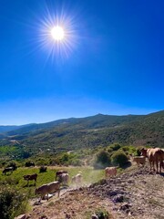 mountain landscape with blue sky