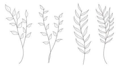 Botanical leaves line hand drawn collection. Vector illustration.