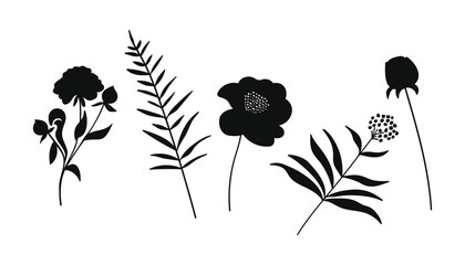 Naklejka premium Aesthetic silhouette botanical flower and leaves.Vector illustration.