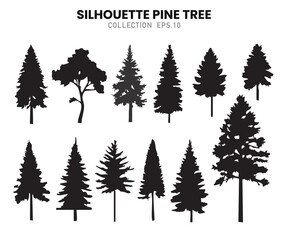 Fototapeta premium Pine Forest Silhouette Set.Vector illustration.