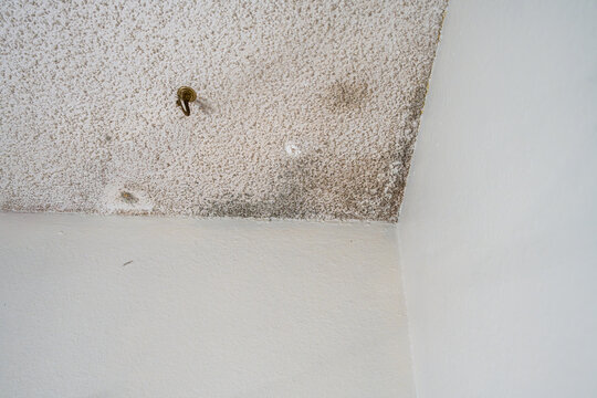 Bedroom interior, popcorn ceiling with mold and water stains, toxic environment, and walls marks and holes, rental home interior damage after the tenant moves out, housing market
