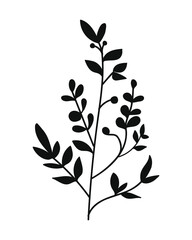 Silhouette Twigs with Leaves in a Botanical Style.