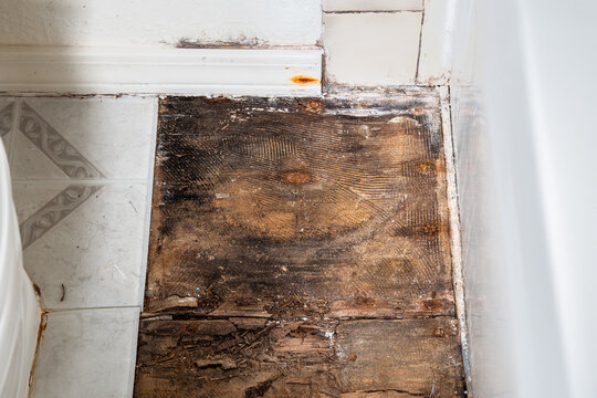 Bathroom interior, toilet, tub, and water damaged subfloor under linoleum tile, rot and mold, rental home interior damage after the tenant moves out, housing market
