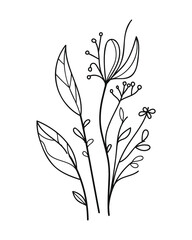 Branch of a plant with flowers and leaves.