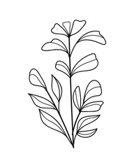 Botanical leaves line art hand drawn.Vector illustration.