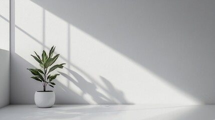 Minimalist white vase with green plant on white table against clean textured background