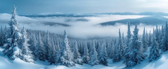 Snowy Mountain Forest With Foggy Sky