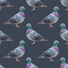 gray pigeons on gray  background.  Seamless pattern. Texture for fabric, wrapping, wallpaper. Decorative print.Vector illustration