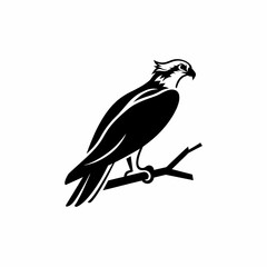 Fototapeta premium Sleek Osprey Bird Logo Design