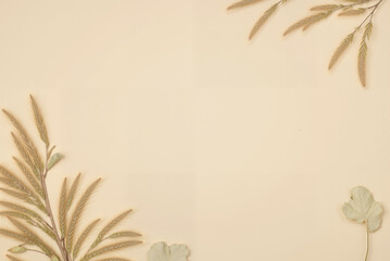 Botanical arrangement: dried leaves and branches create a minimalist, natural design on a light beige backdrop.