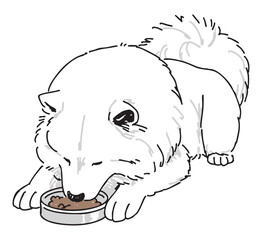 サモエドの手書きイラスト
