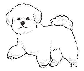 ビションフリーゼの手書きイラスト