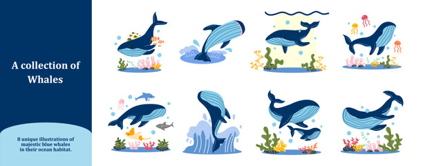 Whales under the sea set: A stunning collection of eight blue whale illustrations, such as swimming, breaching, interacting with baby whales, coral reefs, and marine life. © Illustartathome