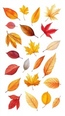 Fototapeta premium Autumn Leaves Watercolor Illustration Collection - A Colorful Ensemble of Fall Foliage