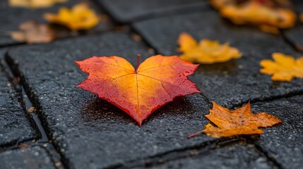 Autumn leaf heart, wet stones, fall